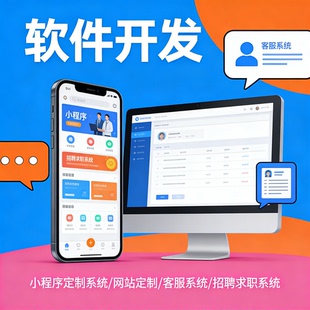 系统软件开发定制 小程序网站建设 客服招聘求职系统开发