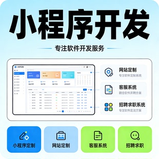 软件开发定制 小程序制作 网站搭建 客服系统 招聘求职系统开发