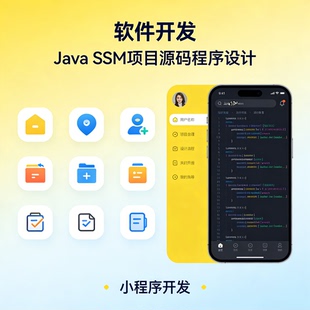JAVA 项目开发 SSM 框架源码 计算机程序设计 软件开发定制