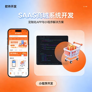 SAAS 商城联网购物软件小程序定制 APP 海外商城系统 H5 定制开发