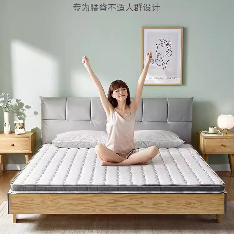 晨运家居椰棕床垫护腰护脊棕榈棕垫薄款家用偏硬1.5米床垫子