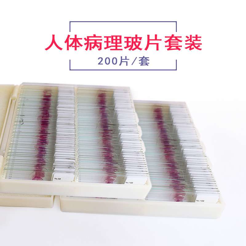 人体病理切片高教标准HE染色结构病理组织学玻片200片装