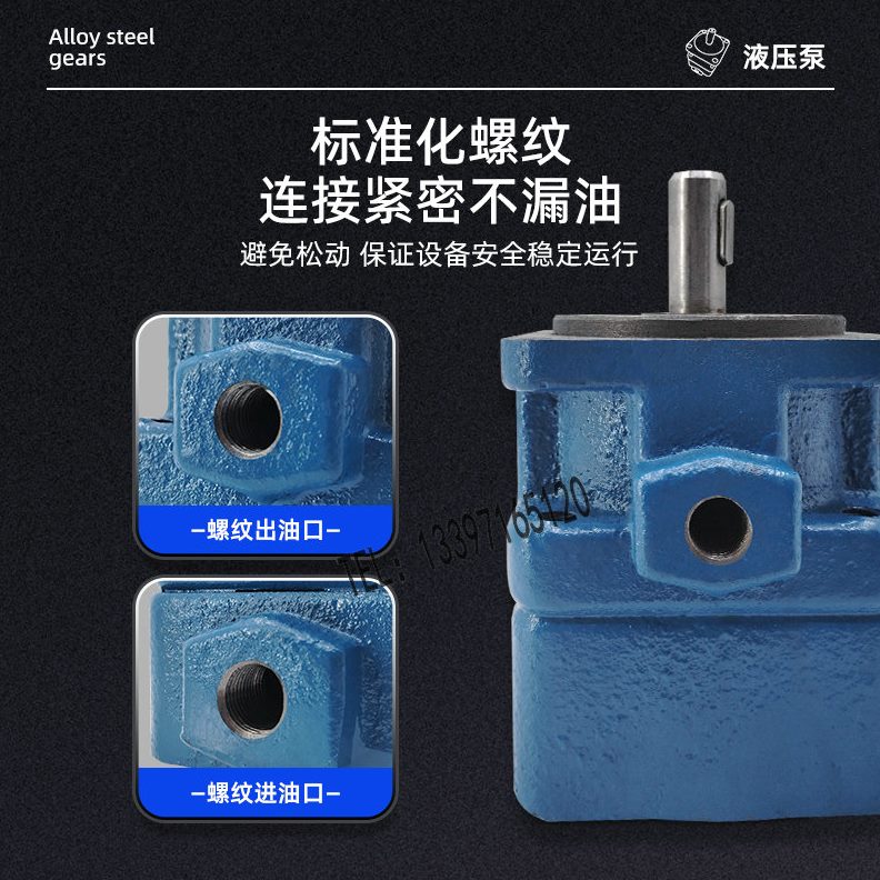 10/40业Y无/121/0B3220/-325//86//10/16450锡//0/量定6叶片泵泰