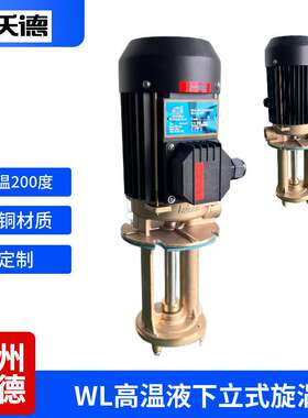 高温热水循环泵WL-10-150立式热水热油旋涡泵 高压泵 增压泵