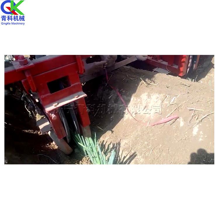 供应拖拉机牵引大葱移栽器 双行葱苗栽种机 农用座驾式种葱机