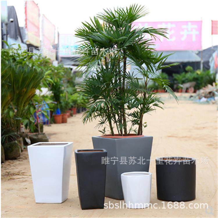 陶瓷花盆直销 小号中号大号 盆栽送托盘室内简约花色时尚室外盆栽,鲜花速递/花卉仿真/绿植园艺,割草机/草坪机,淘宝优惠券,粉丝福利购,淘宝优惠卷