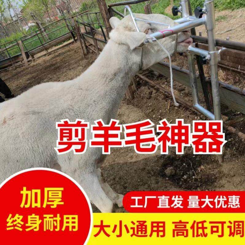 挤架剪羊毛推毛羊笼头打针羊奶羊用保定羊头升降固定架架子固定器