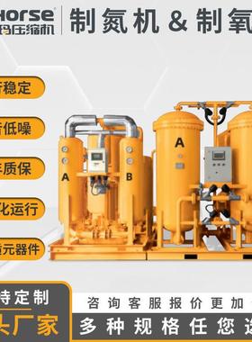 艾玛制氮机AHN-95型高纯度制氧机变压吸咐氮气机机械设备工厂