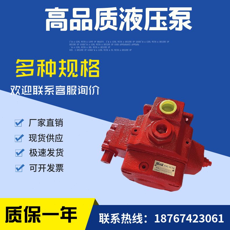 现货C18奇斯特STV-16I/4叶片泵QV2MCO32A1A1R1P