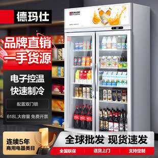 德玛仕DEMASHI食品留样柜保鲜冷藏柜展示柜LG-260Z带锁冷柜冰箱