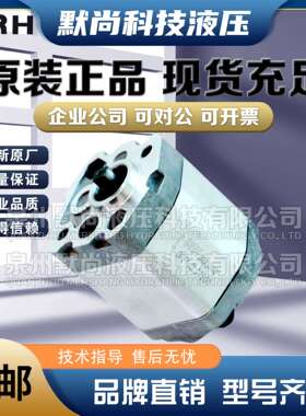 上海国瑞GRH齿轮泵Group1液压泵1PF1.1L01B02 1PF1.3L01B02 油泵