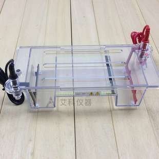 北京六一琼脂糖水平电泳仪电泳槽 核酸电泳仪（小号）DYCP-31DN