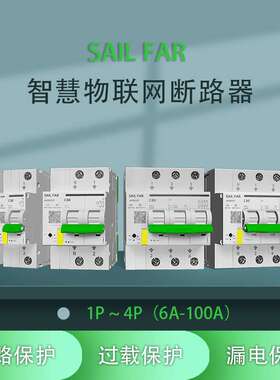 智能物联网型断路器家用/商用微断空开断路器1P、2P、3P、4P空开
