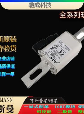 巴斯曼170M3741 170M3742 170M3743 大量现货出厂价格 高速熔断器