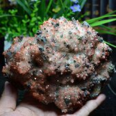 头红水晶簇标本天然摆件 红矿水晶铁黄矿物原石