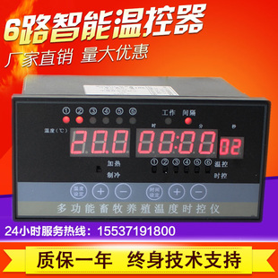 智能数显电子温控器 阶梯温度时控仪 畜牧养殖z大棚控制开关仪表