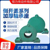 立式 偏 18轴承座22 加厚 24202122侧铸铁22盖19 2222开口