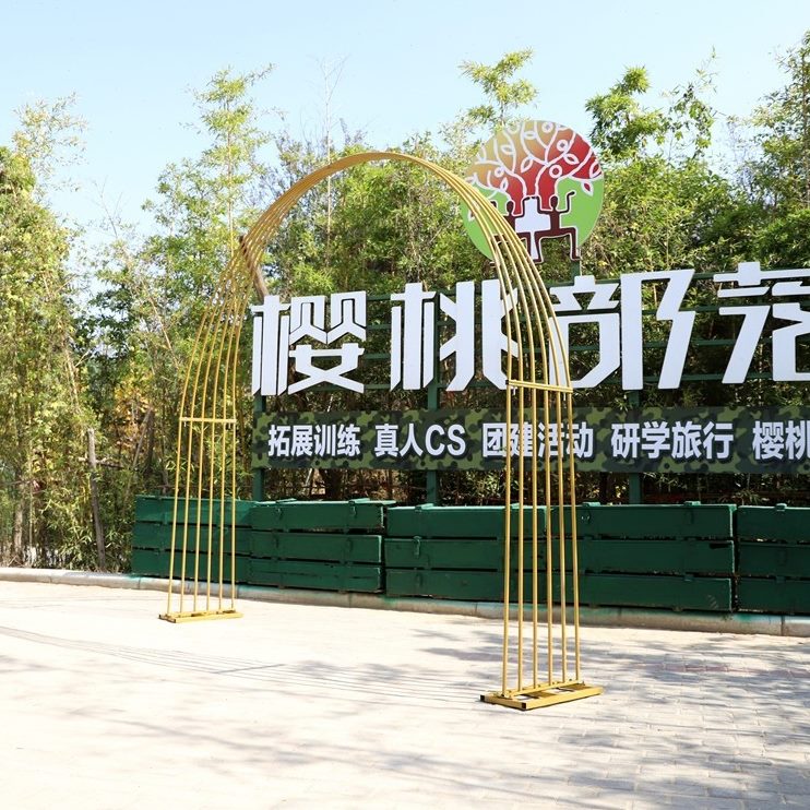 屏风门布置婚礼背景拱门森系花摆件户外饰铁艺牵婚庆道具舞台线一