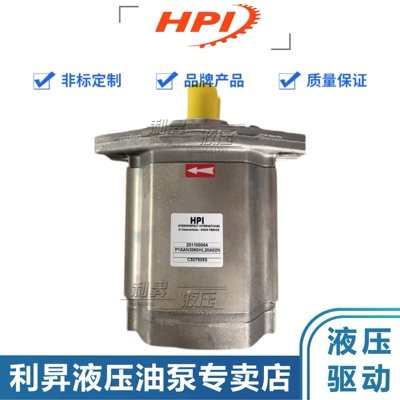 法国HPI液压齿轮泵P1AAN2522HL20A01N P1AAN3060HL20A02N油泵马达