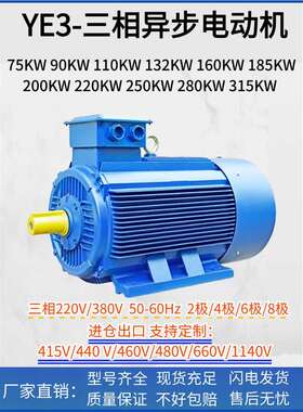 110kw-375千瓦电机132/160/185/200/220/250/280/315/355电动机