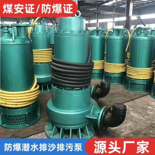 防爆潜污泵1140V660V  BQS隔爆型潜水排沙矿用BQS80-450/4-220KW