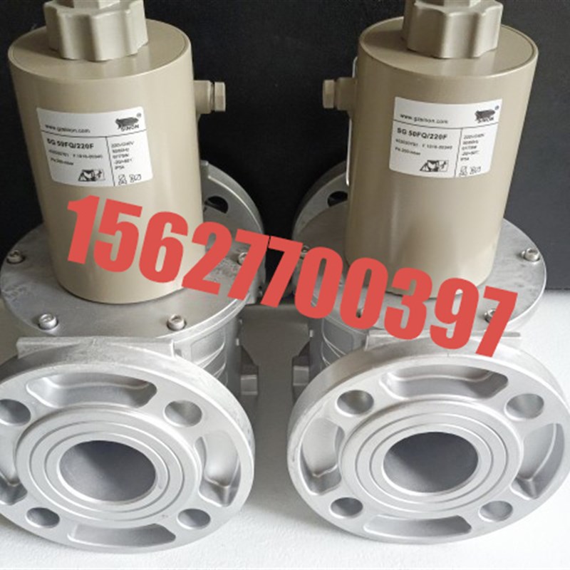 SG40R02NT33  SG50R02NT33  SG65F02NT33 I SG80F02NT33  SG100F0