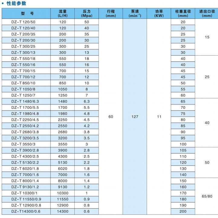 DZ-T型柱塞式计量泵防腐柱塞泵自吸高压泵