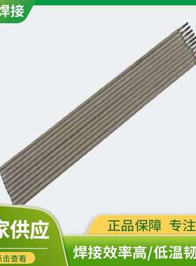 高温不锈钢焊条A402A407A412A422A427A432A462E310H-16E310Mo-16
