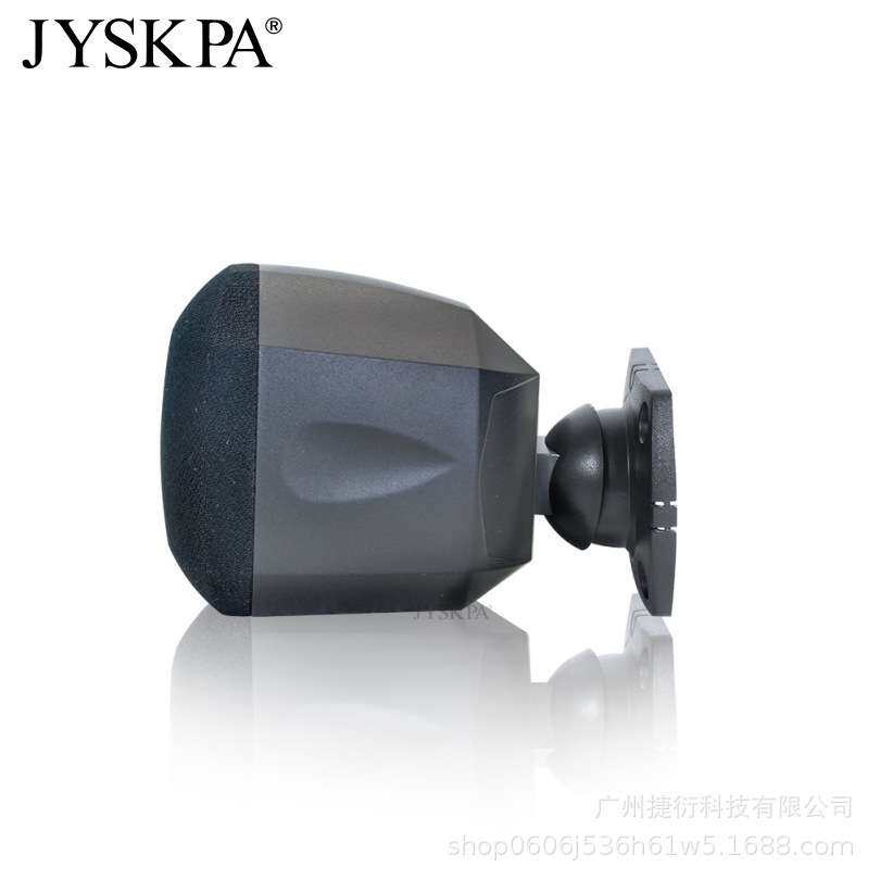 WR310 时尚音箱壁挂迷你吊装音箱公共广播背景音乐带分频器