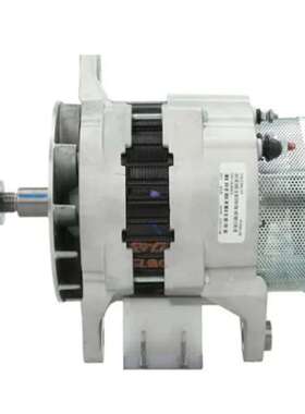 供应 19010195 3920618  EE8133发电机/EE9059