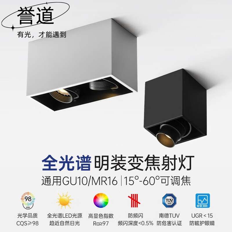 誉道明装双头防眩式客厅天花灯cob牛眼灯走廊led可调角度射灯 升