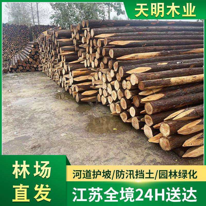 原木桩防汛木桩河道打桩木圆木桩建筑地基护坡工程防滑木头松木桩,鲜花速递/花卉仿真/绿植园艺,割草机/草坪机,淘宝优惠券,粉丝福利购,淘宝优惠卷