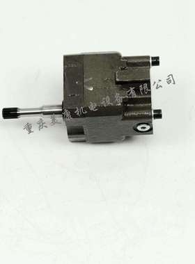 3034213 齿轮泵总成1.25in 右转内回油 喷油器 燃油泵 油杯