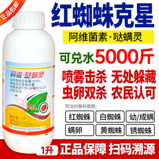 红蜘蛛专用药杀虫剂阿维哒螨灵阿维菌素月季花卉杀螨农药虫卵双杀