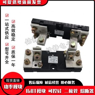 170H3006/170H1007/170H1013巴斯曼熔断器底座