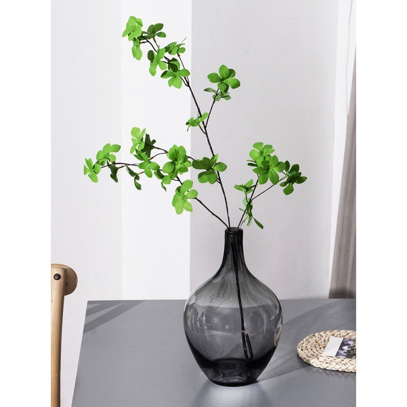 透明玻璃摆件大肚花瓶客厅落地圆肚小口径插花水养马醉Y木水培吊