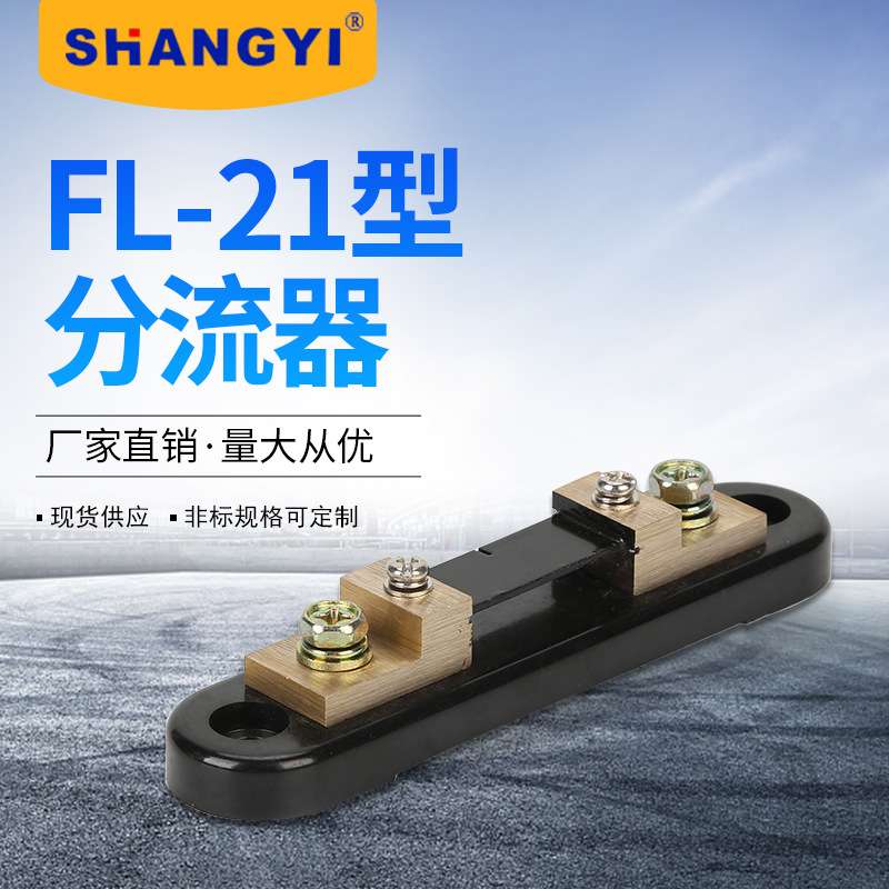 厂家供应 FL-21型100A75mV 外附分流器  现货供应Shunt