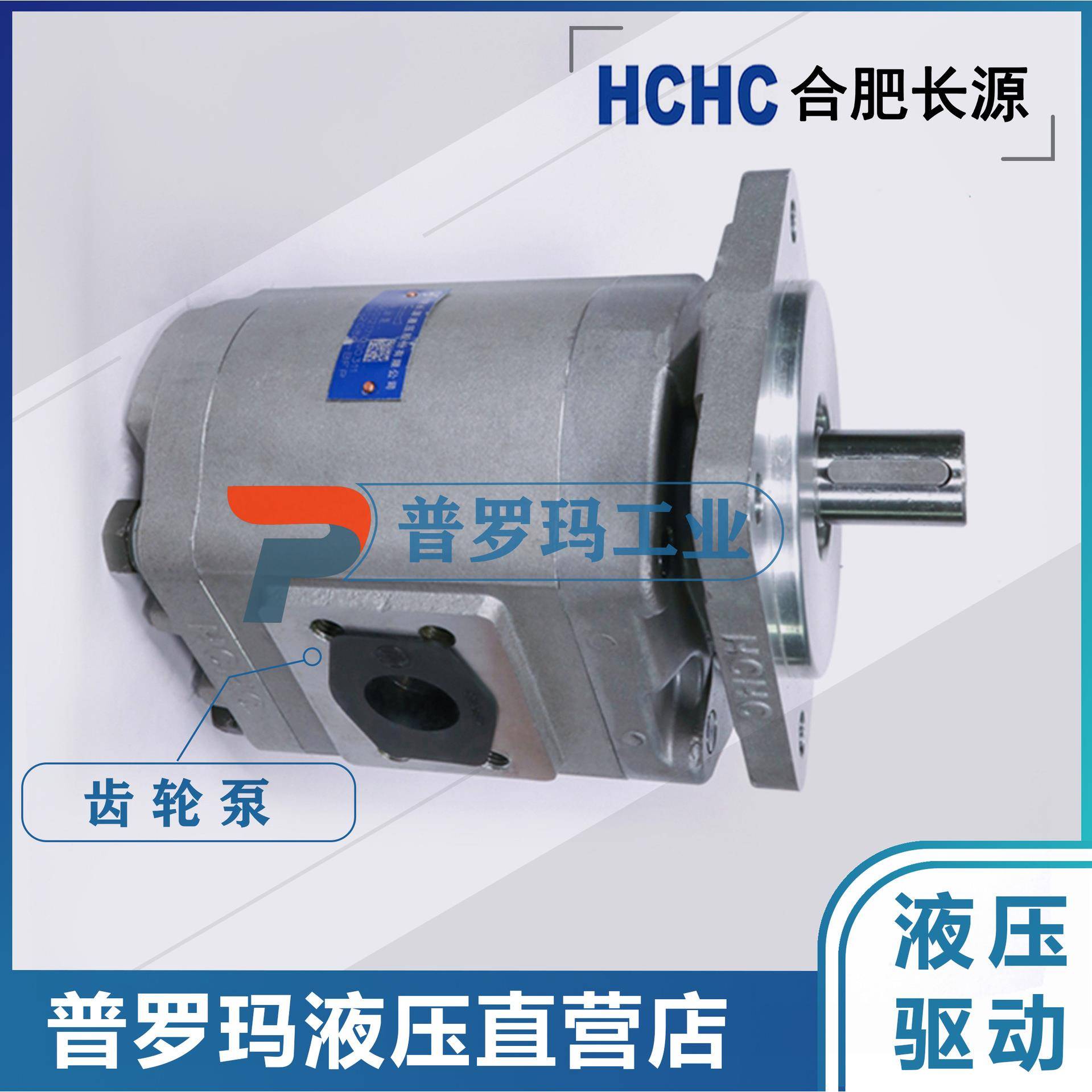 合肥齿轮油泵CBG2032-BFPCBG2040/2050/2063/2080/2100BFPL