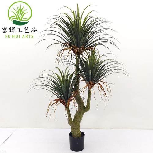 仿真绿植龙血树千年木龙须树盆栽造景组合景观装饰道具摆件