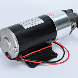 电泵摆线泵柴油12v抽油泵小型直流电机油抽泵微型齿轮泵厂家直销