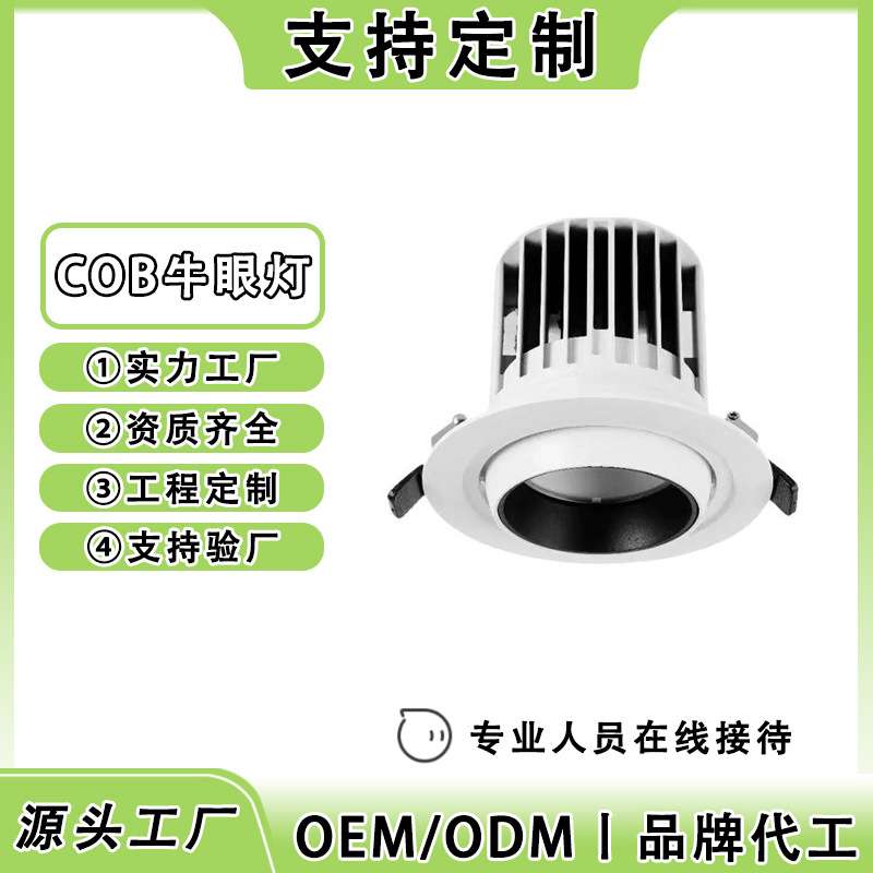 商用孔灯嵌入式led射灯万向天花筒灯30w35w服装店高显色cob牛眼灯