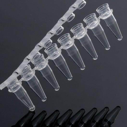 巴罗克0.1ml 8联排 qPCR 管 聚丙烯 无酶 非灭菌 透明 60-1088