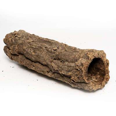 Giangarden葡萄牙软木香槟树皮爬宠爬虫箱树洞造景躲避仓鼠