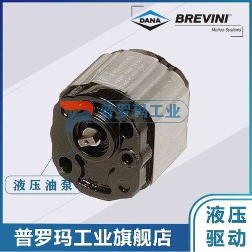 BRTVINI齿轮油泵OT100P20S/G13B0 G14B0 G214B0 R11S1 G11S1 D 58