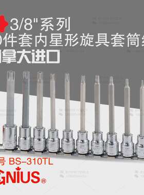 天赋GENIUS工具3/8系列10mm进口10件套内星形旋具套筒组BS-310TL