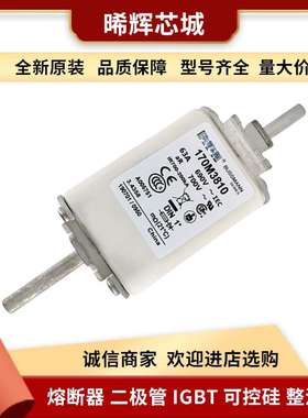 170M3810 170M3811 直流快速熔断器 库存充足 型号齐全现货