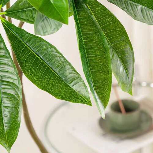 仿真轻奢发财树装饰室内客厅假盆栽绿植落地盆栽摆件装扮仿真植物
