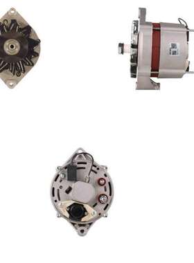 供应0120488159/9030880/CA513IR/111166/CAL10177AS汽车发电机