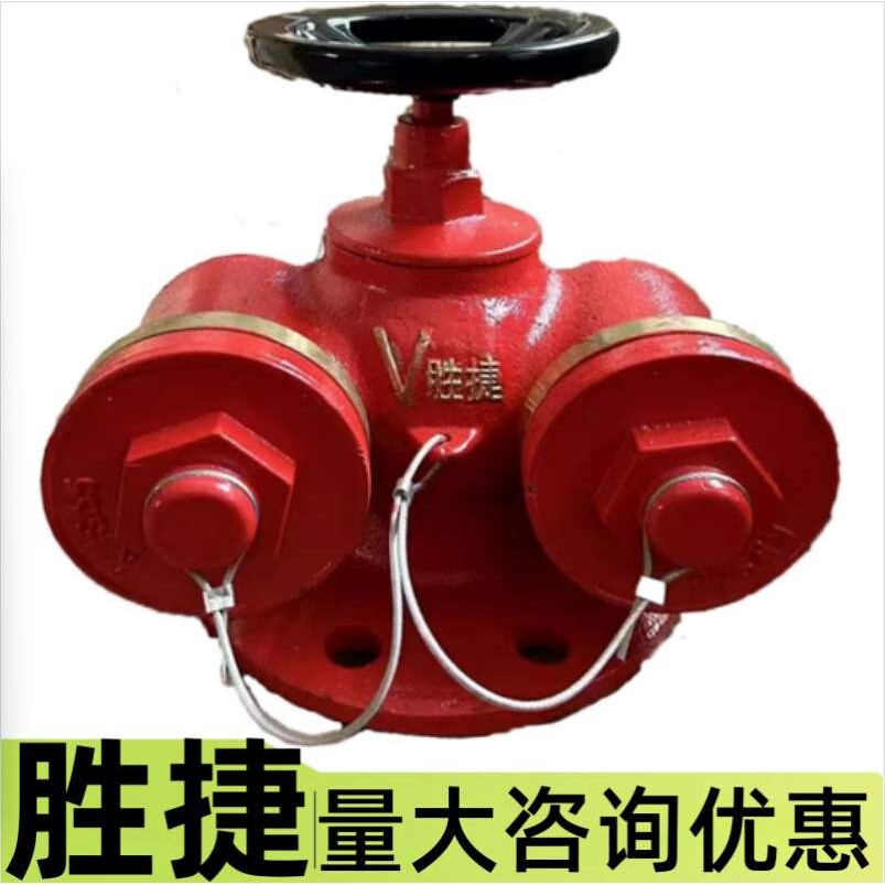 桂安/胜捷/闽山/天广多用式水泵接合器SQD100/150/1.6法兰/沟槽