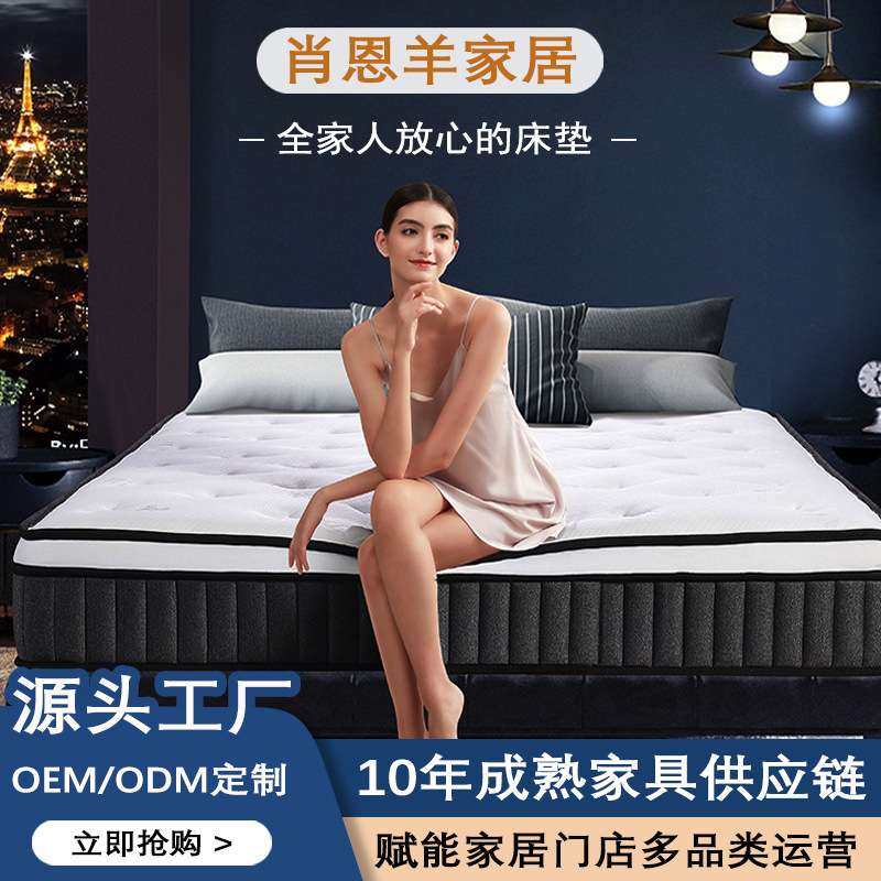 乳胶弹簧床垫家用床垫3E棕垫出租房床垫软硬两用床垫席梦思床垫,鲜花速递/花卉仿真/绿植园艺,割草机/草坪机,淘宝优惠券,粉丝福利购,淘宝优惠卷